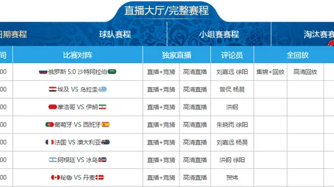 申台龙下课引球迷感慨，托希尔决策失误频发